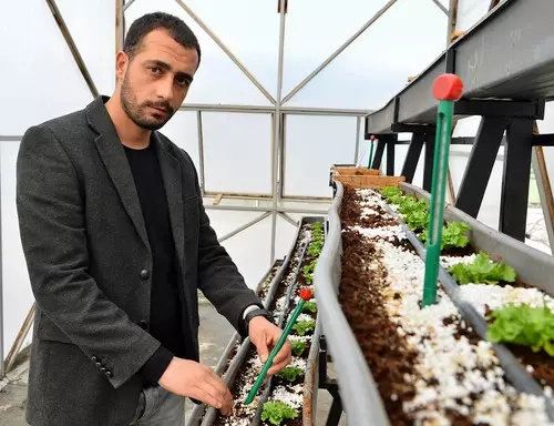 Topraksız Tarım Kursu'nu Bitirdi, Patron Oldu Topraksız Tarım Kursu'nu Bitirdi, Patron Oldu