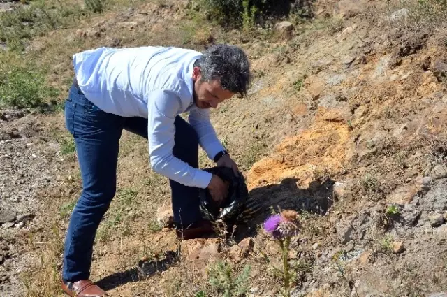 Marmara'nın Güneyine Deprem Uyarısı