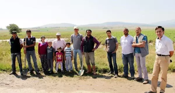 Sulama Hattının Boruları Patladı, Tarlalar Suyla Doldu