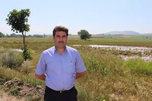 Sulama Hattının Boruları Patladı, Tarlalar Suyla Doldu