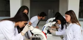 son dakika haberleri