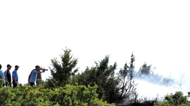Bingöl'de Orman Yangınında 5 Hektar Alan Zarar Gördü - Haber