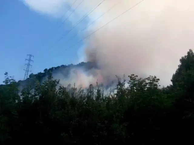 Isparta'da Orman Yangını Isparta'da Orman Yangını