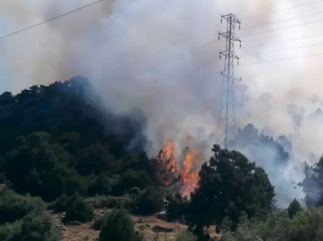Isparta'da Orman Yangını Isparta'da Orman Yangını