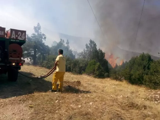 Isparta'da Orman Yangını Isparta'da Orman Yangını