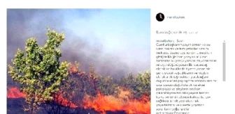 Maral Büyüksaraç'tan 'Cudi Yangını' Tepkisi: Bu Ekolojik Katliamdır