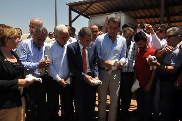 CHP'li Milletvekilleri Suriye Sınırında Barış Güvercini Uçurdu CHP'li Milletvekilleri Suriye Sınırında Barış Güvercini Uçurdu