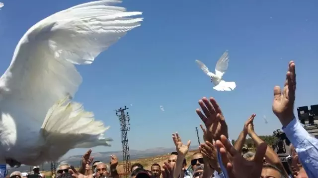 CHP'li Vekiller Suriye Sınırında Barış Güvercini Uçurdu