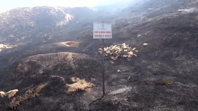 Tarihi Altıntepe Kalesi'nde Çıkan Yangın