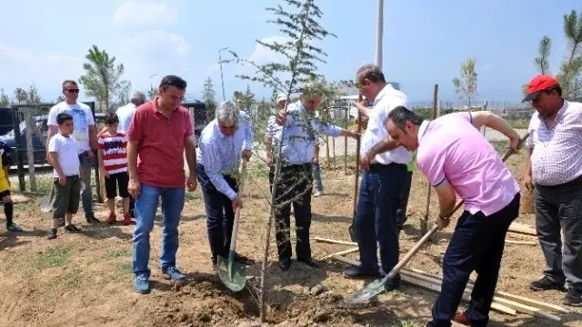 Afet Evleri Yeşilleniyor Haberler