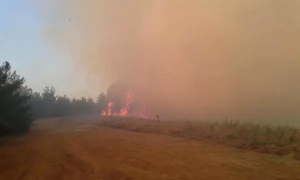 Buras'da Orman Yangını (2) Buras'da Orman Yangını (2)