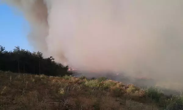 Buras'da Orman Yangını (2) Buras'da Orman Yangını (2)