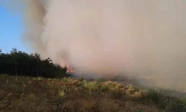 Buras'da Orman Yangını (2) Buras'da Orman Yangını (2)