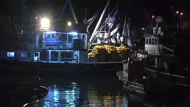 Balıkçılar Av Sezonunu Açtı Balıkçılar Av Sezonunu Açtı