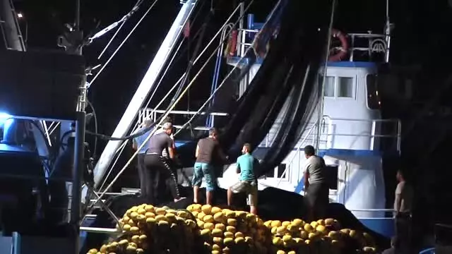 Balıkçılar Av Sezonunu Açtı Balıkçılar Av Sezonunu Açtı