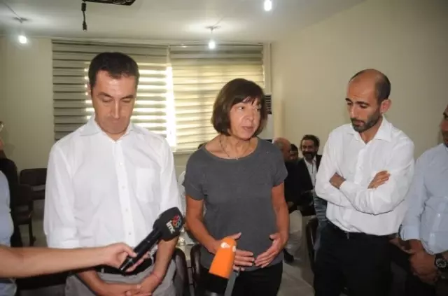 AP Heyeti Cizre'de İncelemelerde Bulundu