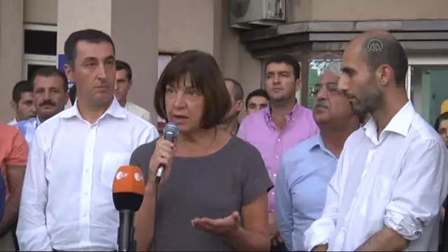 AP Yeşiller Grubu Eş Başkanı Harms