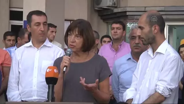 AP Yeşiller Grubu Eş Başkanı Harms