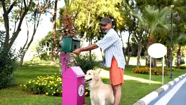 Parklara Sokak Hayvanları İçin Kedi Köpek Evi Haberler