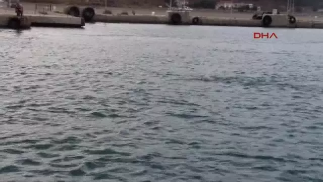 Gökçeada - Rekortmen Yüzücü Şehitler Anısına Kabatepe'den Gökçeada'ya Yüzdü