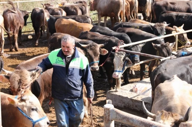 Sivas'ta Kurban Kesim Yerleri Belirlendi Haberler