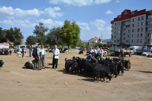 Bitlis'te Kurbanlıklara Rağbet Yok Bitlis'te Kurbanlıklara Rağbet Yok
