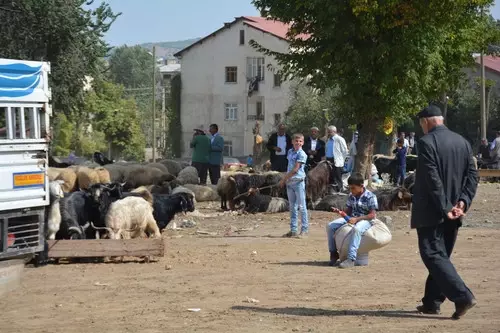 Bitlis'te Kurbanlıklara Rağbet Yok Bitlis'te Kurbanlıklara Rağbet Yok