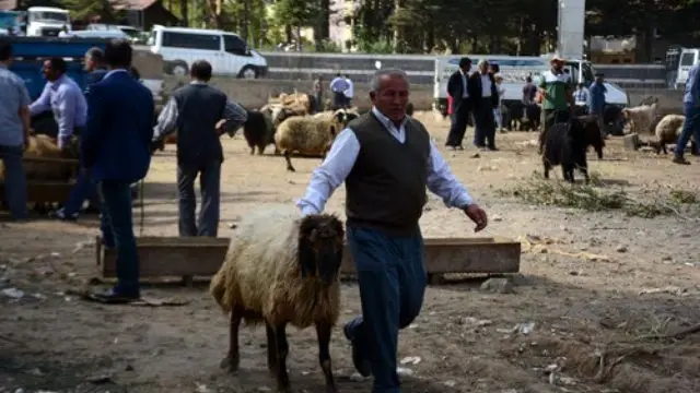 Bitlis'te Kurbanlıklara Rağbet Yok Bitlis'te Kurbanlıklara Rağbet Yok