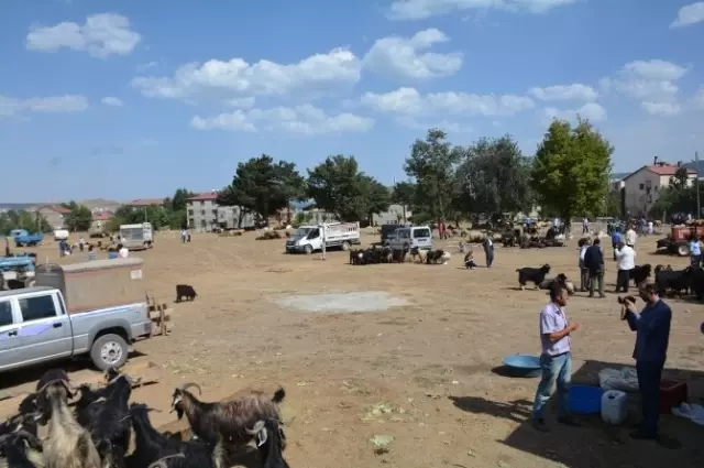 Tatvan'da Kurbanlık Çok Alıcı Yok Tatvan'da Kurbanlık Çok Alıcı Yok