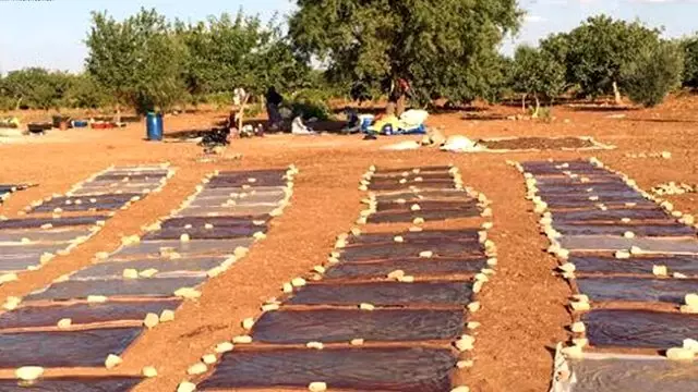 Hilvanlı Üretici Tatlılarına Coğrafi İşaret İstiyor Hilvanlı Üretici Tatlılarına Coğrafi İşaret İstiyor
