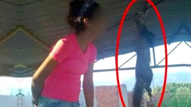 Kediyi Çamaşır İpine Asıp Sevgilisine Mesaj Gönderen Kız Tepki Çekti Kediyi Çamaşır İpine Asıp Sevgilisine Mesaj Gönderen Kız Tepki Çekti