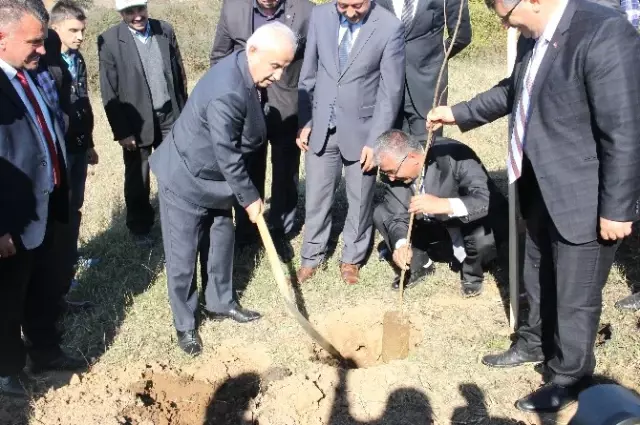 Su Yalağına Gösterişli Tören