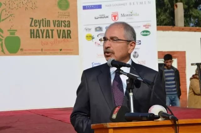 Ayvalık'ta 11. Uluslararası Zeytin Hasat Günleri Başladı