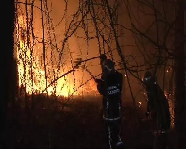 Beykoz'da Orman Yangını Beykoz'da Orman Yangını