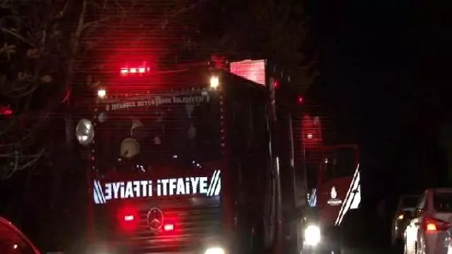 Beykoz'da Orman Yangını Beykoz'da Orman Yangını