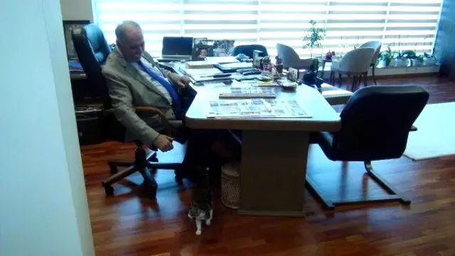 CHP'li Başkan, Makam Odasını 'Barış'a Açtı CHP'li Başkan, Makam Odasını 'Barış'a Açtı