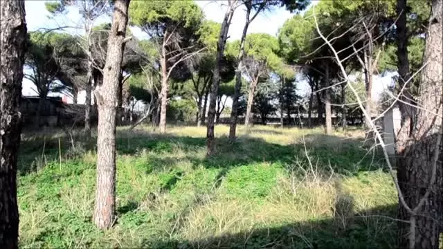 Manisa'daki Sümerbank Davasında Karar Manisa'daki Sümerbank Davasında Karar
