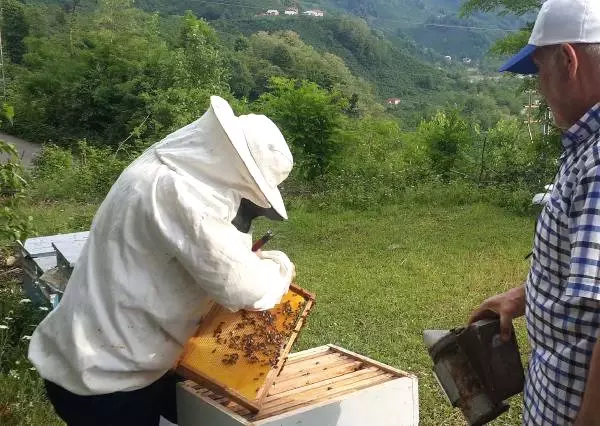 Dünyanın En Pahalı Sütü! Kilosu 5- 6 Bin TL, Her Derde Deva Dünyanın En Pahalı Sütü! Kilosu 5- 6 Bin TL, Her Derde Deva