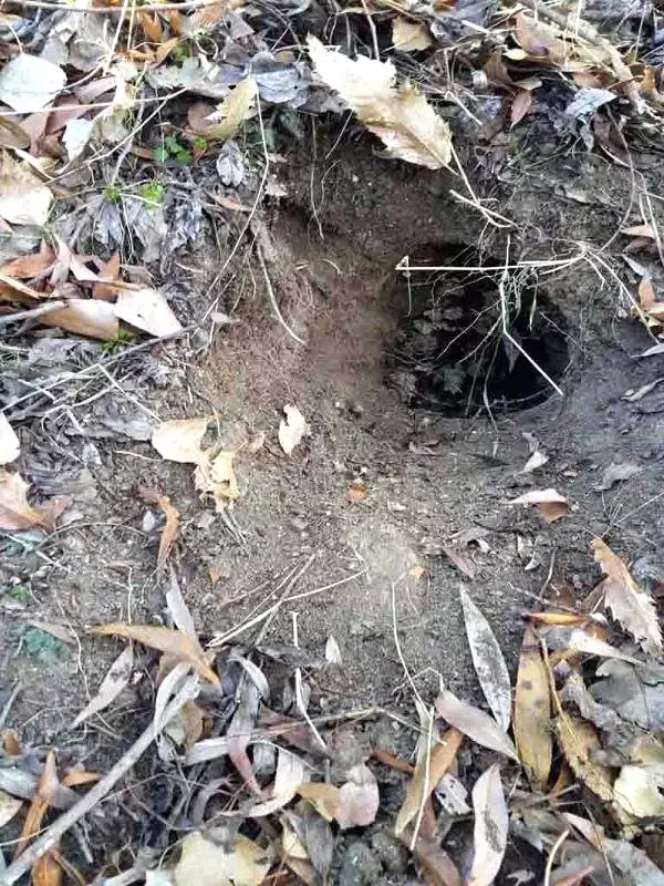 Bingöl'de PKK Sığınakları ile Patlayıcı ve Mühimmatlar Ele Geçirildi