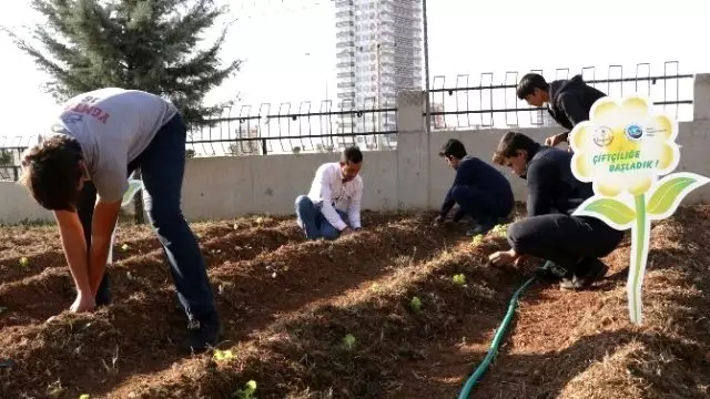 Öğrenciler, Ekolojik Tarımla Tanıştı Öğrenciler, Ekolojik Tarımla Tanıştı