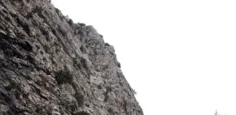 Erentepe: Keçi Kurtarmaya Çalışan İki Kardeş Uçurumdan Düştü: Biri Öldü, Diğeri Yaralandı Erentepe: Keçi Kurtarmaya Çalışan İki Kardeş Uçurumdan Düştü: Biri Öldü, Diğeri Yaralandı