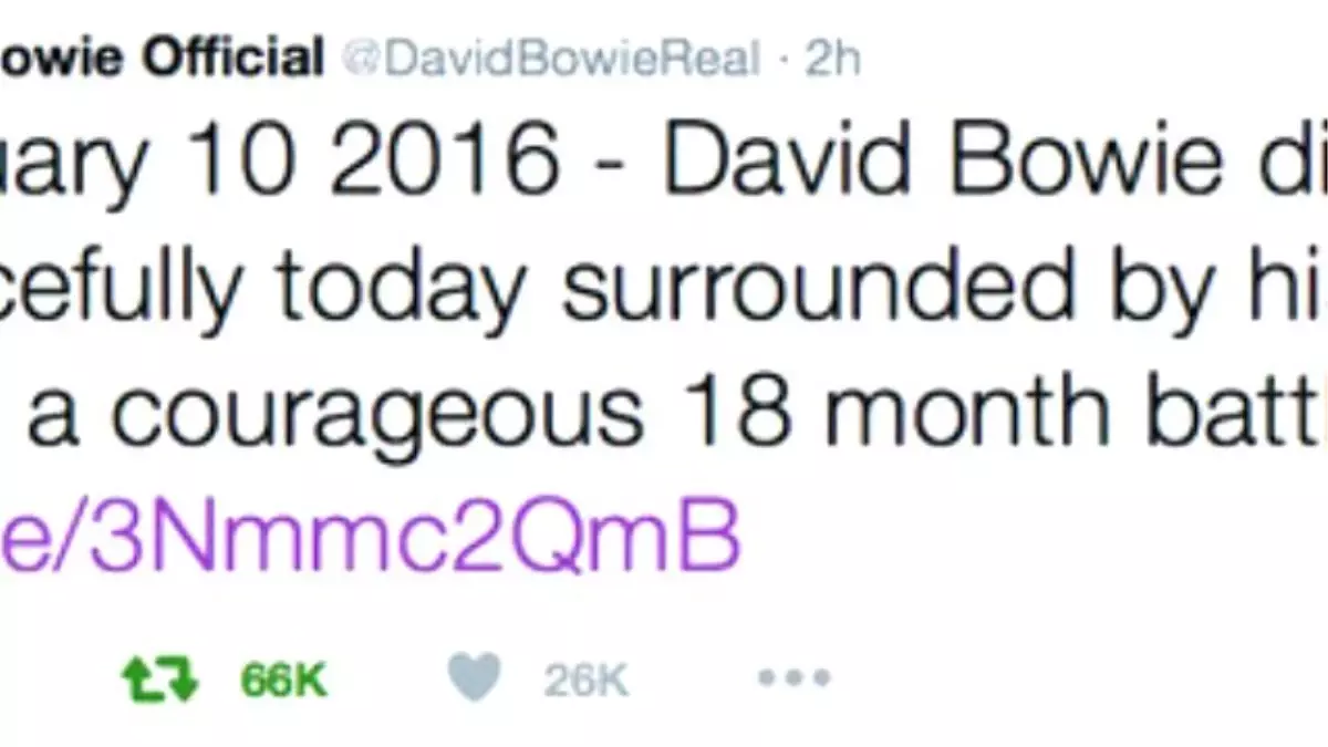 İngiliz Rock Yıldızı David Bowie Kansere Yenik Düştü