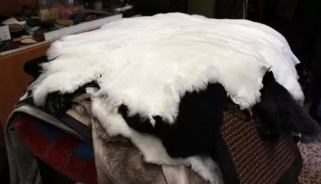 Hastaliktan Ve Rahatsizliktan Koruyan Koyun Postlari Vatandasin Yeni Gozdesi Ekonomi Haberleri