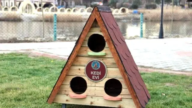 Avanos�ta Kediler İçin Kedi Evleri Yapıldı Haberler