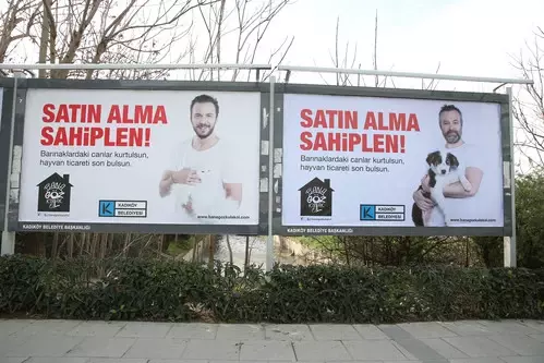 Ünlülerden 14 Şubat Mesajı: Sevgilinize Hayvan Satın Almayın!