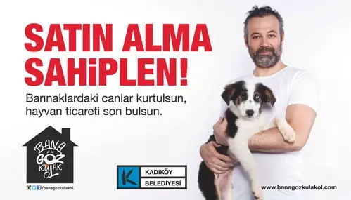 Ünlülerden 14 Şubat Mesajı: Sevgilinize Hayvan Satın Almayın!