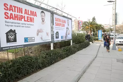 Ünlülerden 14 Şubat Mesajı: Sevgilinize Hayvan Satın Almayın!