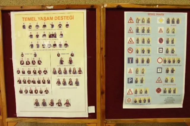 Doktor Adaylarından İlginç Festival Doktor Adaylarından İlginç Festival