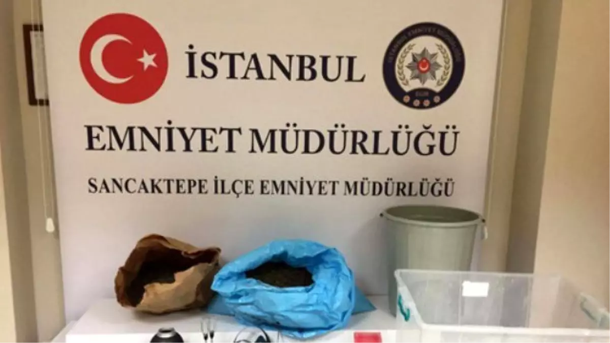 bonzai yapiminda fare zehri kullanmislar haberler