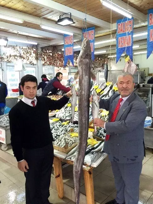 haberler com haber son dakika haberler